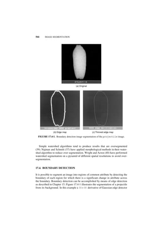 Digital image processing