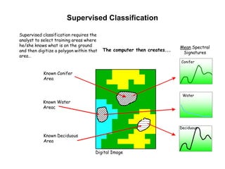 Supervised Classification
Supervised classification requires the
analyst to select training areas where
he/she knows what is on the ground
and then digitize a polygon within that
area…

The computer then creates...

Mean Spectral
Signatures
Conifer

Known Conifer
Area

Water

Known Water
Areac

Deciduous

Known Deciduous
Area
Digital Image

 