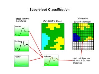 Supervised Classification
Mean Spectral
Signatures

Multispectral Image

Information
(Classified Image)

Conifer

Deciduous

Water

Unknown

Spectral Signature
of Next Pixel to be
Classified

 