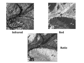 Infrared Red
Ratio
 
