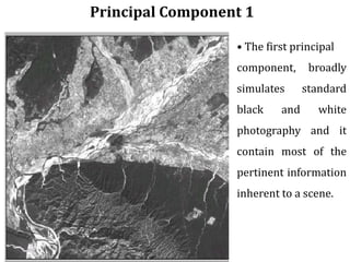 Principal Component 1
• The first principal
component, broadly
simulates standard
black and white
photography and it
contain most of the
pertinent information
inherent to a scene.
 