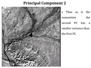 Principal Component 2
• Thus as is the
convention the
second PC has a
smaller variance than
the first PC
 