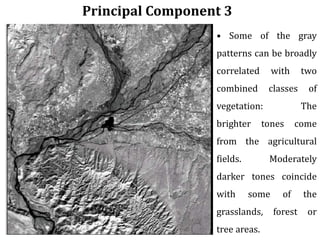 Principal Component 3
• Some of the gray
patterns can be broadly
correlated with two
combined classes of
vegetation: The
brighter tones come
from the agricultural
fields. Moderately
darker tones coincide
with some of the
grasslands, forest or
tree areas.
 