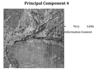 Principal Component 4
• Very Little
Information Content
 