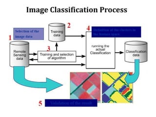 Image Classification Process
 
