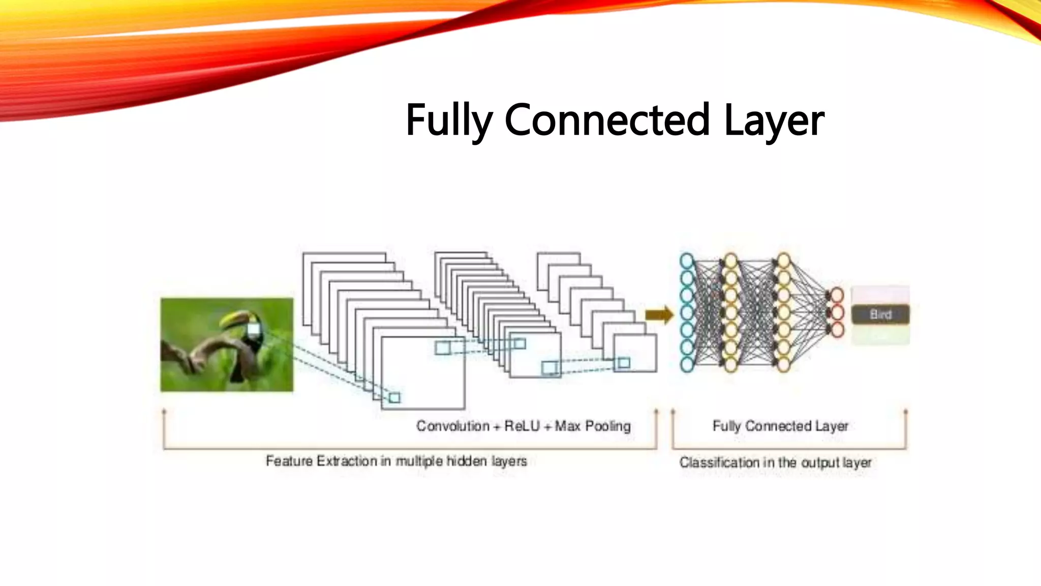 Fully Connected Layer
 