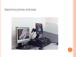 IDENTIFICATION STATION
 