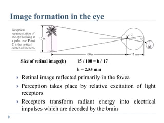 Retinal Display Example Image Processing Digital image processing2.pptx