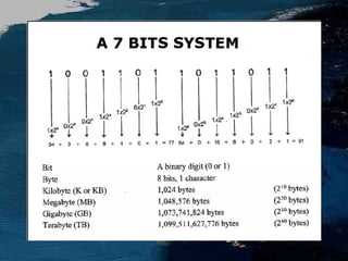 Digital image processing and interpretation | PPT