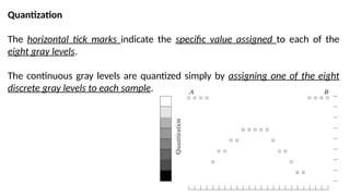 Gray Level Quantization Basic Fundamentals of Digital Image Processing (Digital Image Processing ...