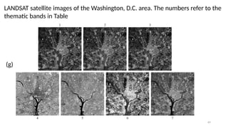 69
LANDSAT satellite images of the Washington, D.C. area. The numbers refer to the
thematic bands in Table
(g)
 