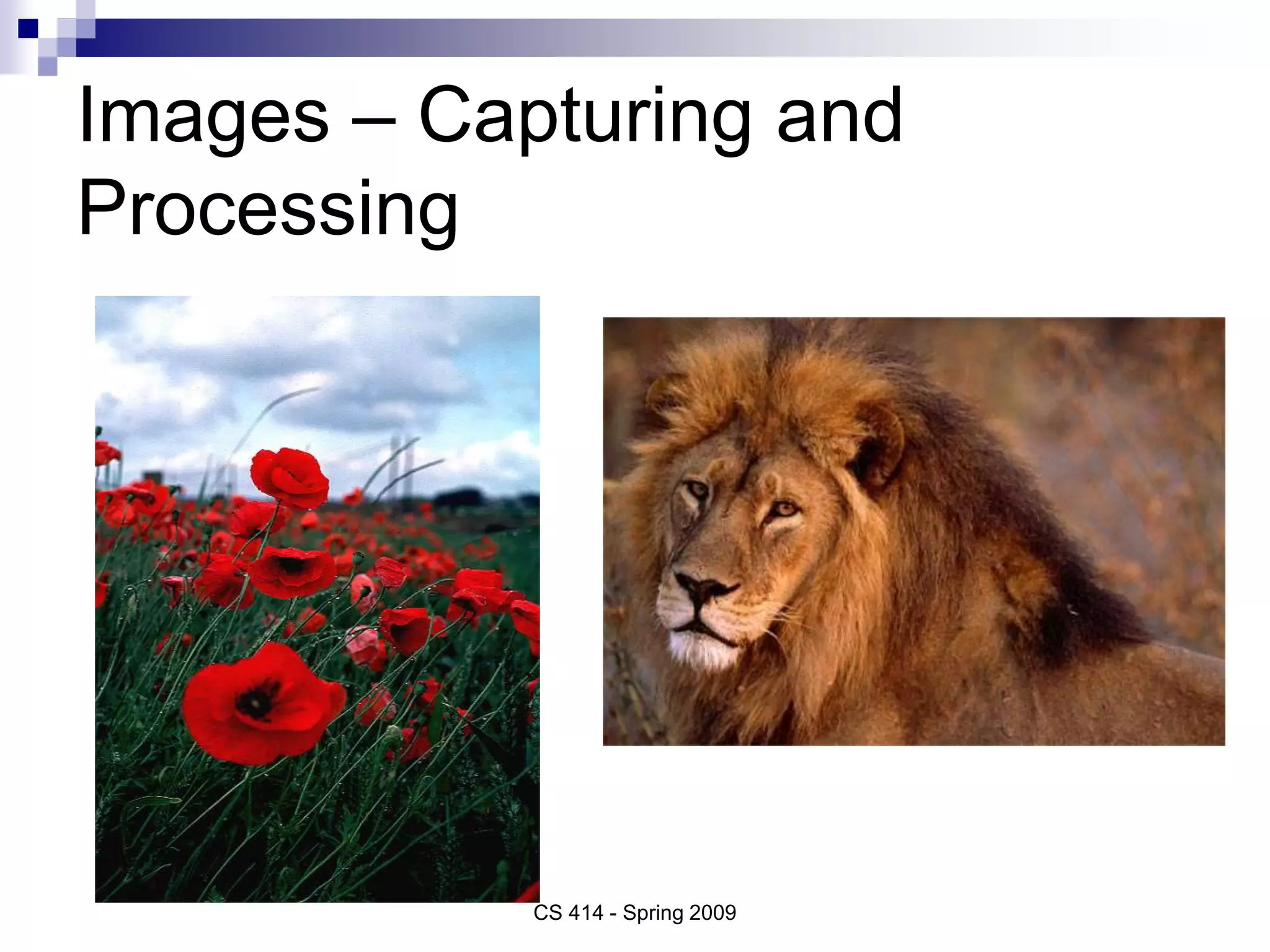 Digital Image Representation.ppt