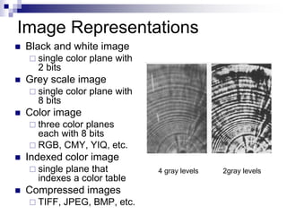Digital Image Representation.ppt