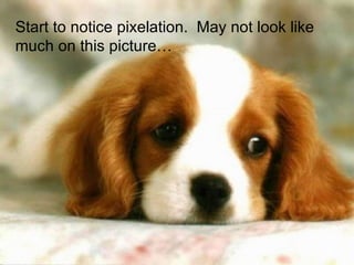 Start to notice pixelation.  May not look like much on this picture… 