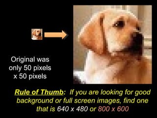 Original was only 50 pixels x 50 pixels Rule of Thumb :  If you are looking for good background or full screen images, find one that is  640 x 480  or  800 x 600 