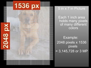 5 in x 7 in Picture Each 1 inch area holds many pixels of many different colors Example:  2048 pixels x 1536 pixels  = 3,145,728 or 3 MP 