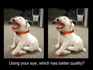 Using your eye, which has better quality? 