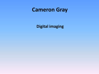 Cameron Gray

 Digital imaging
 