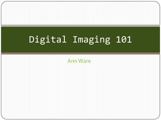 Ann Ware Digital Imaging 101 