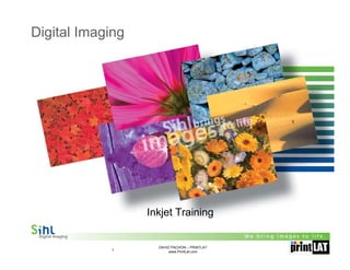 Digital Imaging




                  Inkjet Training


                    DAVID PACHON – PRINTLAT
            1            www.PrintLat.com
 