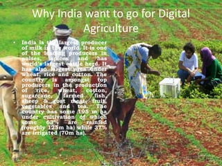 Why India want to go for Digital
Agriculture
• India is the largest producer
of milk in the world. It is one
of the leading producers in
pulses, spices and has
world’s largest cattle herd. It
has also largest area under
wheat, rice and cotton. The
country is amongst top
producers in the production
of rice, wheat, cotton,
sugarcane, farmed fish,
sheep & goat meat, fruit,
vegetables and tea. The
country has some 195 m ha
under cultivation of which
some 63% are rainfed
(roughly 125m ha) while 37%
are irrigated (70m ha).
 