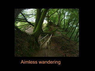 Aimless wandering 