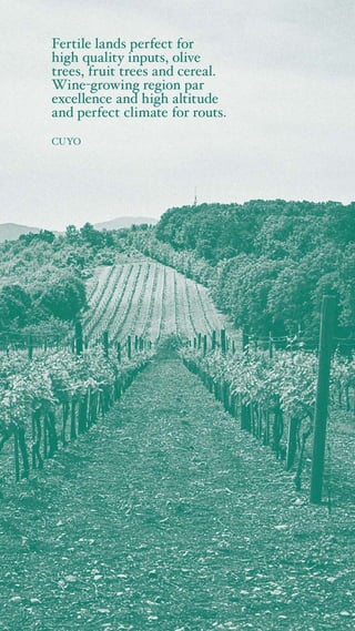 Fertile lands perfect for
high quality inputs, olive
trees, fruit trees and cereal.
Wine-growing region par
excellence and high altitude
and perfect climate for routs.
CUYO
 