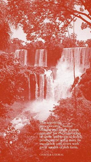The argentine
mesopotamia” humid
climate and jungle region
epitome for the cultivation
of citrus and tropical fruits,
producers of yerba mate by
excellence and rivers with
great wealth of fish farm.
CHACO & LITORAL
 