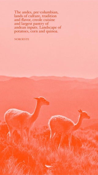 The andes, pre-columbian,
lands of culture, tradition
and flavor, creole cuisine
and largest pantry of
andean inputs. Landscape of
potatoes, corn and quinoa.
NOROESTE
 