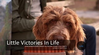 Little Victories In Life‫לשוקולד‬ ‫נהדרת‬ ‫פרסומת‬-‫בחיים‬ ‫והחשובים‬ ‫הקטנים‬ ‫הנצחונות‬ ‫את‬ ‫שמדגימה‬.
‫לראות‬ ‫חובה‬!‫מצחיק‬ ‫זה‬....
Link
 