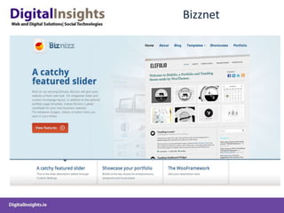 Building WP CMS System from Theme FrameworkCANVAS Theme – Woo Themes