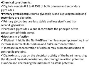 •Chemical constituents:
Digitalis contain 0.2 to 0.45% of both primary and secondary
glycosides.
•Primary glycosides:purpurea glycoside A and B glucogetaloxin and
secondary are digitoxin.
Primary glycosides are less stable and less significant than
second glycosides
Purpurea glycosides A and B constitute the principle active
constituent of fresh leaves.
•Mechanism of action
 Digitoxin inhibits the Na-K-ATPase membrane pump, resulting in an
increase in intracellular sodium and Calcium concentration.
 Increase in concentration of calcium may promote activation of
contractile proteins.
Digitoxin also acts on the electrical activity of the heart increasing
the slope of face4 depolarization, shortening the action potential
duration and decreasing the maximum diastolic potential.
 