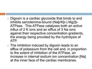  Digoxin is a cardiac glycoside that binds to and
inhibits sarcolemma-bound (Naþ/Kþ-) Mg2þ-
ATPase. This ATPase catalyses both an active
influx of 2 K ions and an efflux of 3 Na ions
against their respective concentration gradients,
the energy being provided by the hydrolysis of
ATP.
 The inhibition induced by digoxin leads to an
efflux of potassium from the cell and, in proportion
to the extent of inhibition of the ATPase, an
increase in internal sodium ion concentration [Na]
at the inner face of the cardiac membranes.
 