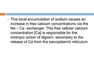  This local accumulation of sodium causes an
increase in free calcium concentrations via the
Na – Ca exchanger. This free cellular calcium
concentration [Ca] is responsible for the
inotropic action of digoxin, secondary to the
release of Ca from the sarcoplasmic reticulum.
 