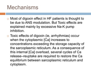 Mechanisms
 Most of digoxin effect in HF patients is thought to
be due to ANS modulation. But Toxic effects are
explained mainly by excessive Na-K pump
inhibition.
 Toxic effects of digoxin (ie, arrhythmias) occur
when the cytoplasmic [Ca] increases to
concentrations exceeding the storage capacity of
the sarcoplasmic reticulum. As a consequence of
this internal [Ca] overload, several cycles of Ca
release–reuptake are required to restore the Ca
equilibrium between sarcoplasmic reticulum and
cytoplasm.
 