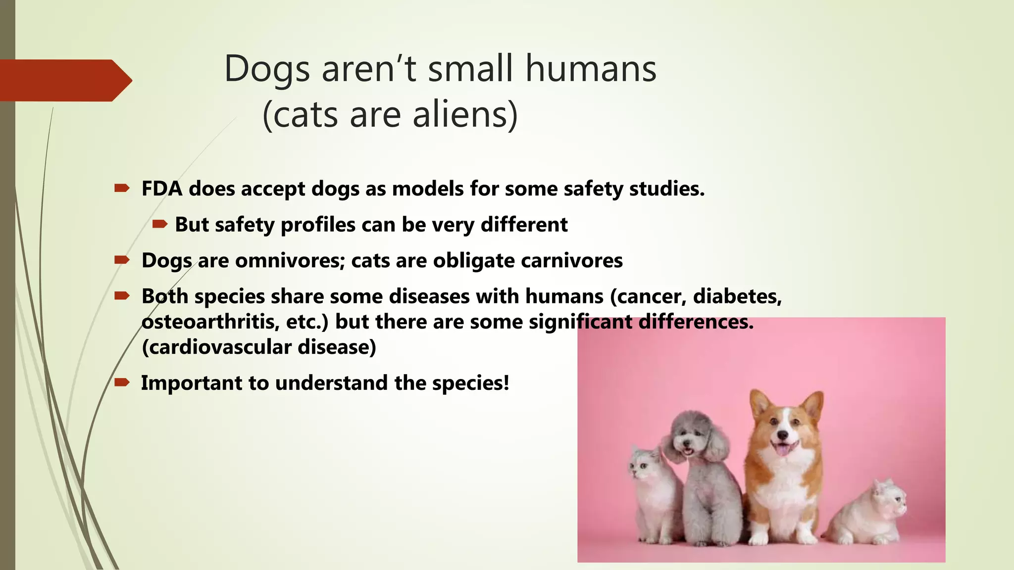 mHealth Israel Human and Animal Healthcare Where do they meet