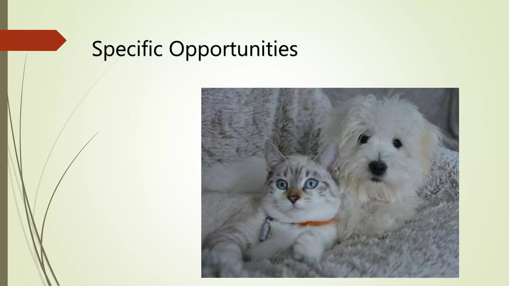 mHealth Israel Human and Animal Healthcare Where do they meet