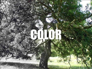 color<br />