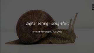 Digitalisering	i	sneglefart
Tormod	Varhaugvik,		Ark	2017
 