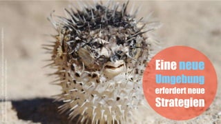 Eine neue
Umgebung
erfordert neue
Strategien
18
Bumgarner,Bill(2006),„DeadPufferfish“,<www.flickr.com/photos/bbum/97809094/>,
<creativecommons.org/licenses/by-nc-nd/2.0/legalcode>
 