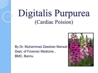 Digitalis Purpurea toxicity (cardiac poison) | PPTX