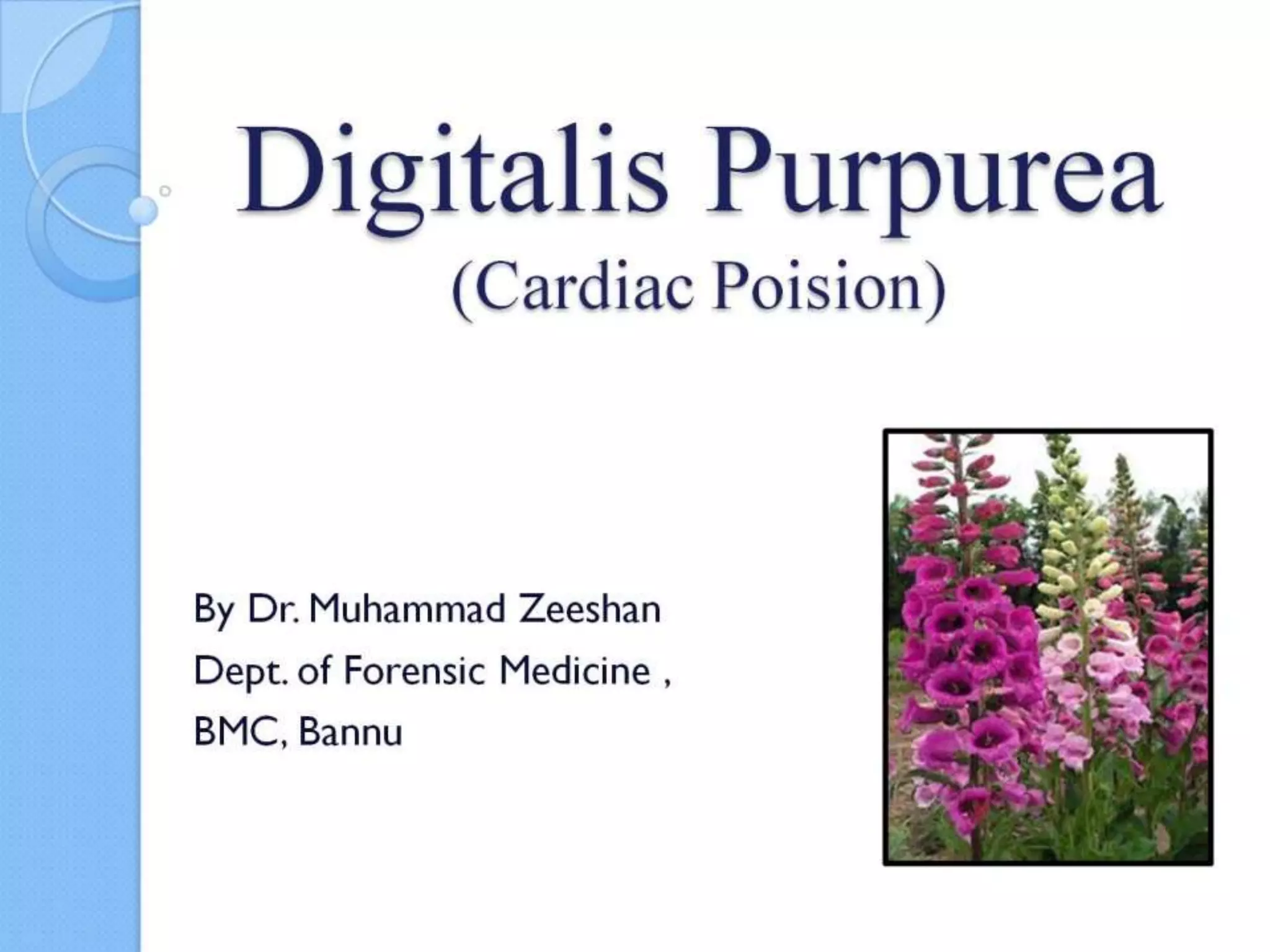 Digitalis toxicity / digitalis purpurea / digitoxin/ digoxin / foxglove