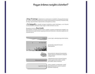 Digitalizáció és új média