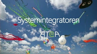 Systemintegratoren
 