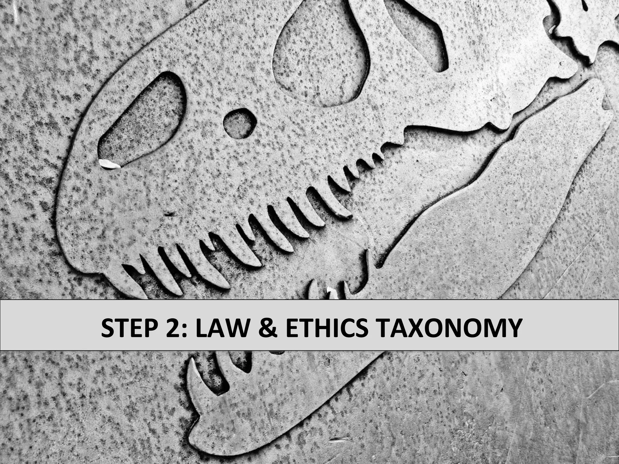 STEP 2: LAW & ETHICS TAXONOMY
 