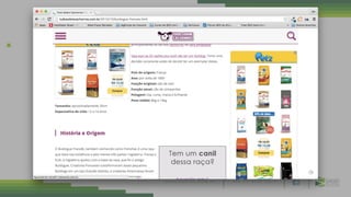 + 5 5 7 1 3 0 1 8 9 0 7 5S A L V E D I G I T A L . C O M . B R
 