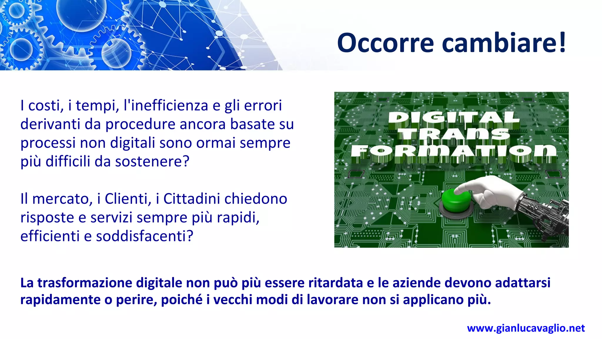 Scimmia domestica: cosa sapere, regole e divieti per adottarne una Scimmia domestica: cosa sapere, regole e divieti per adottarne una