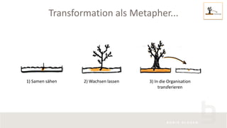 Transformation als Metapher...
1) Samen sähen 2) Wachsen lassen 3) In die Organisation
transferieren
 