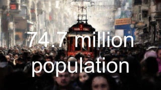DIGITAL LANDSCAPE




         74.7 million
         population
 