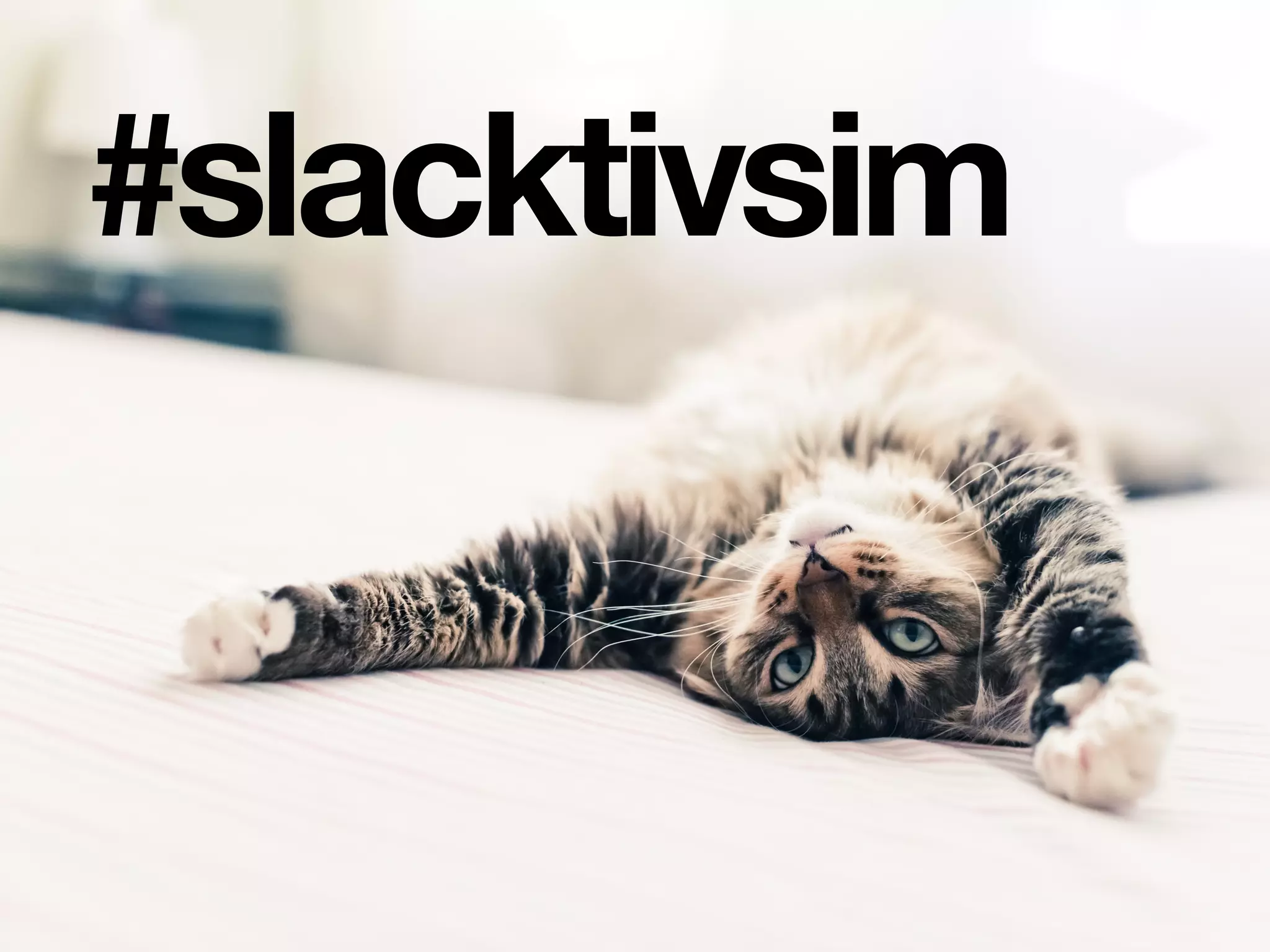 #slacktivsim
 